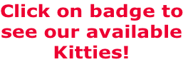 Click on badge to see our available Kitties!