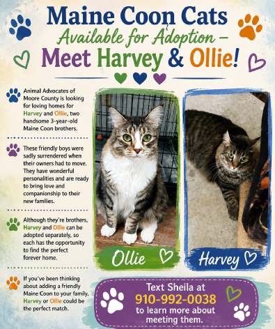 Ollie and Harvey.png